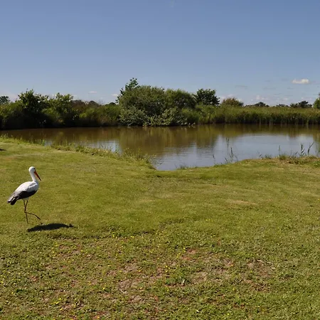 Schwalbennest Daire *