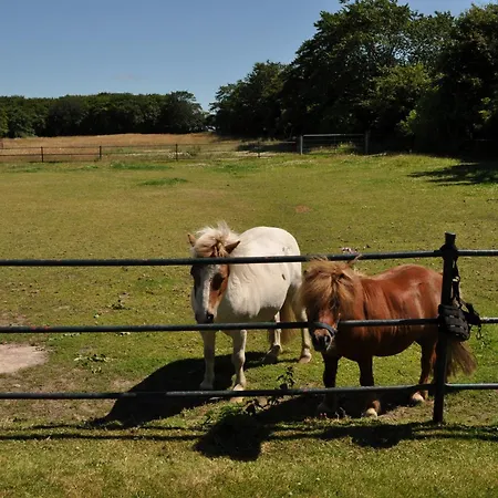 Schwalbennest Daire *